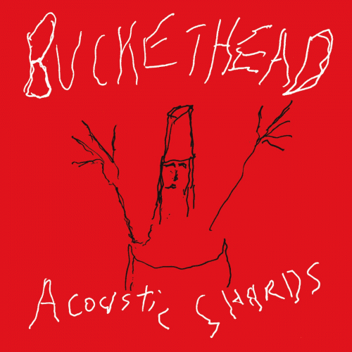 Buckethead : Acoustic Shards